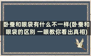 卧蚕和眼袋有什么不一样(卧蚕和眼袋的区别 一眼教你看出真相)